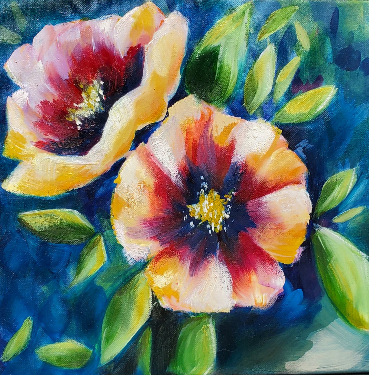 Hibiscus in Bloom